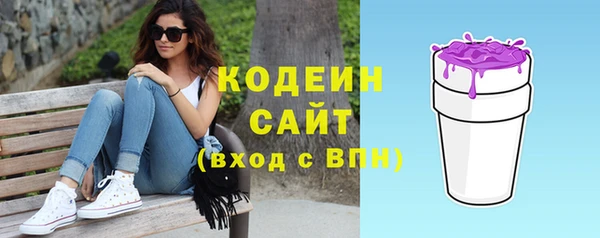 МДПВ Иннополис